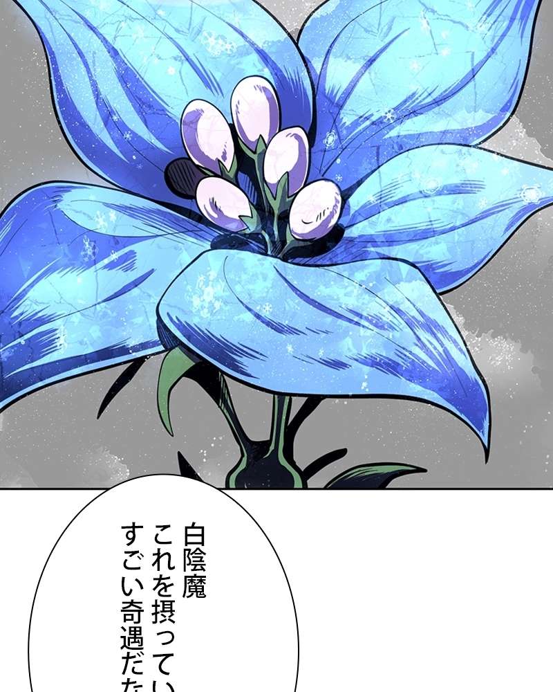 P166