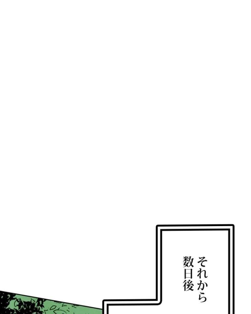 P58