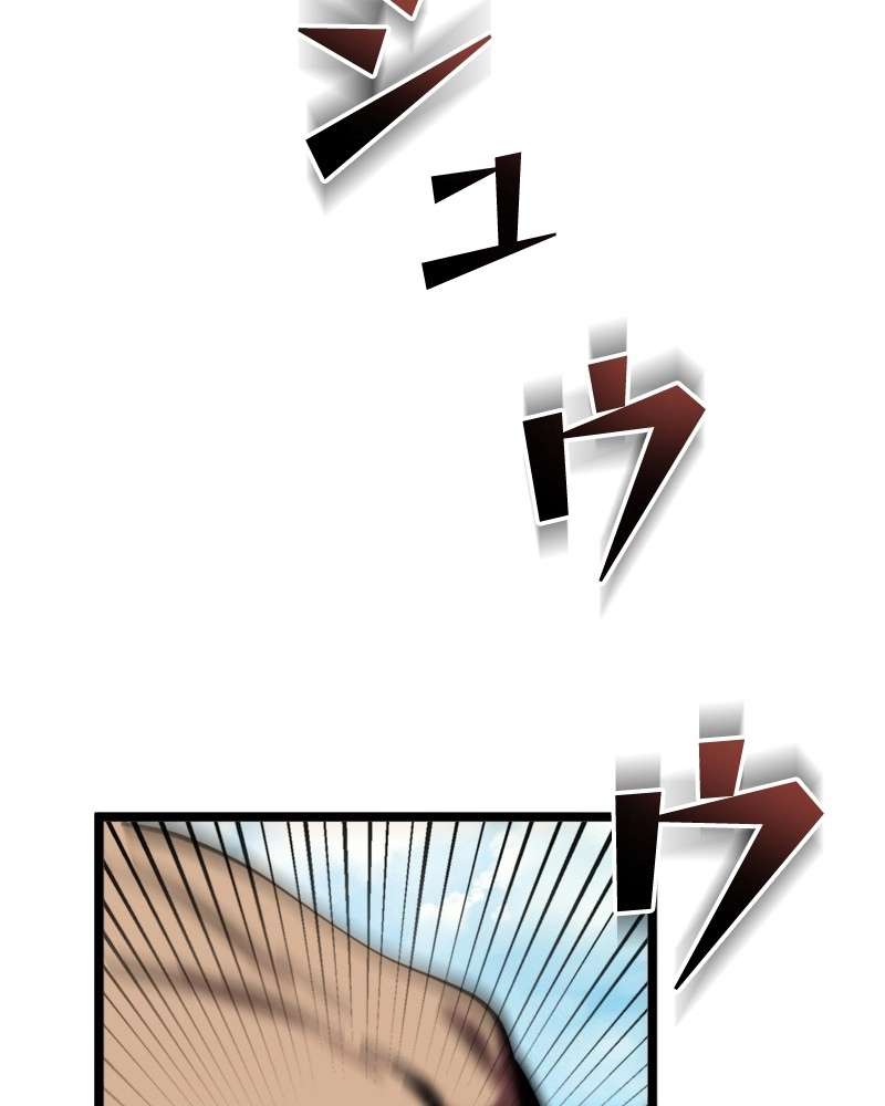 P48