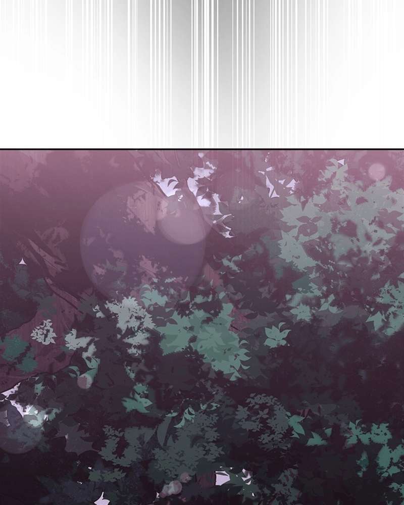 P163