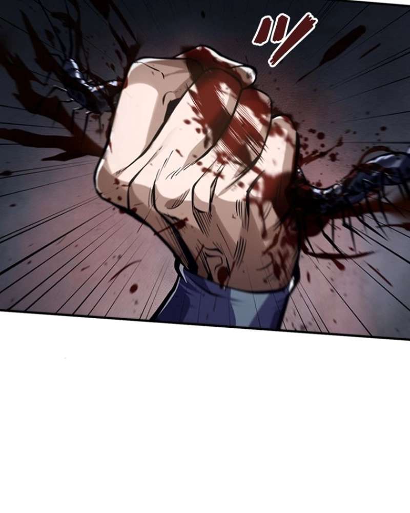 P48