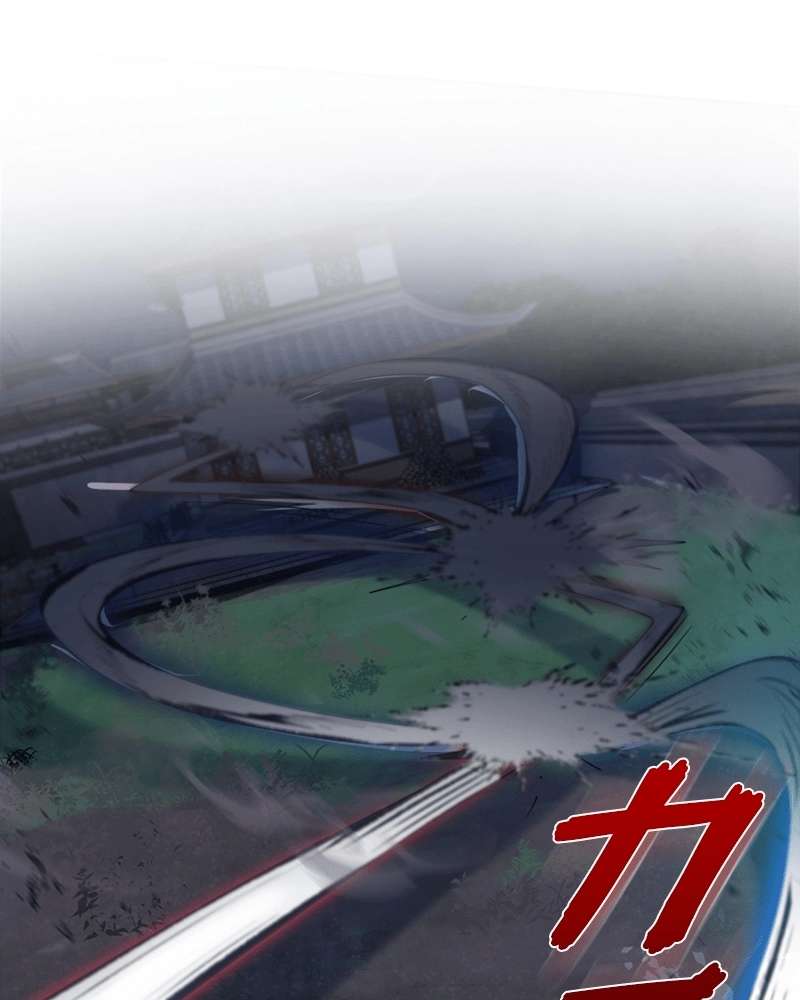 P61