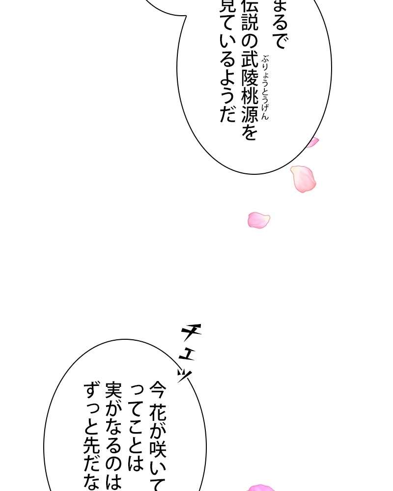 P66