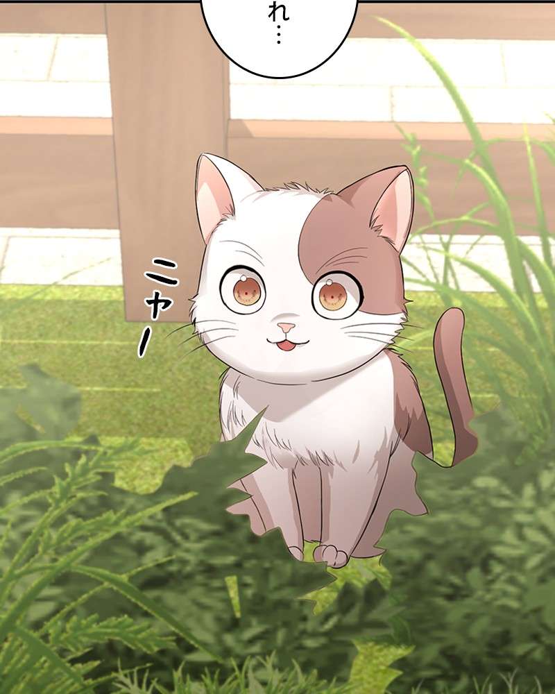 P59