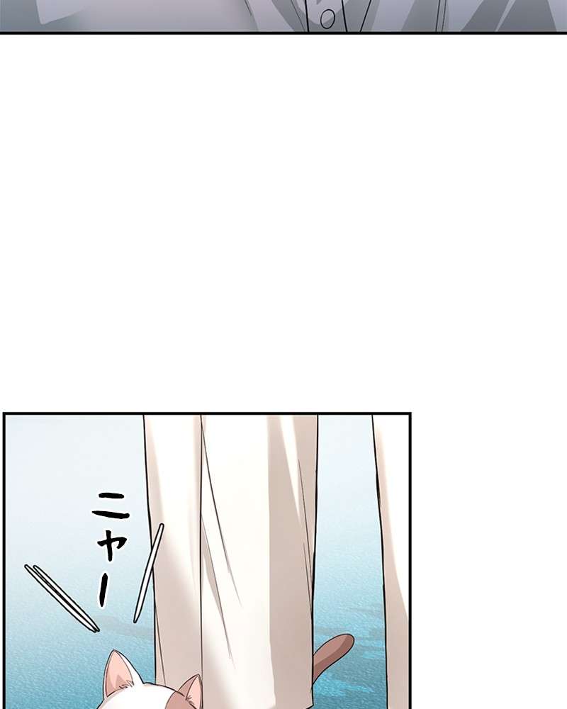 P62