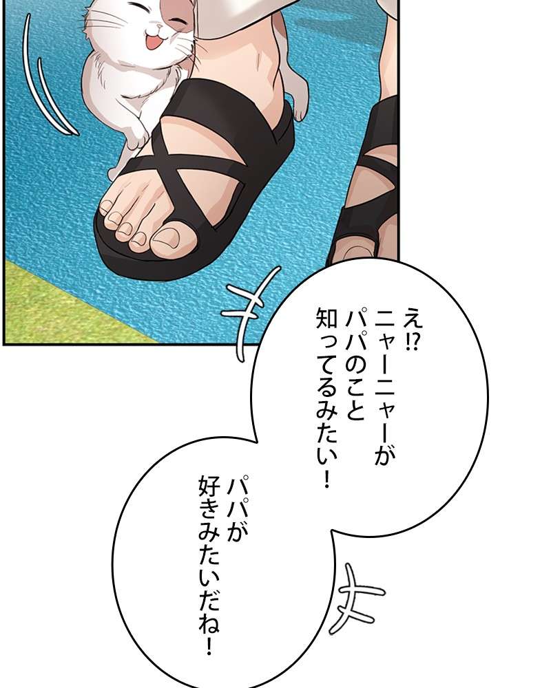 P63