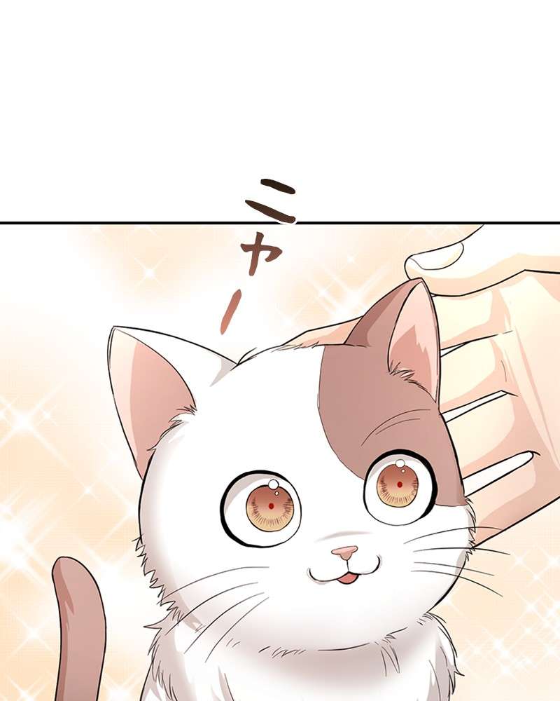 P66