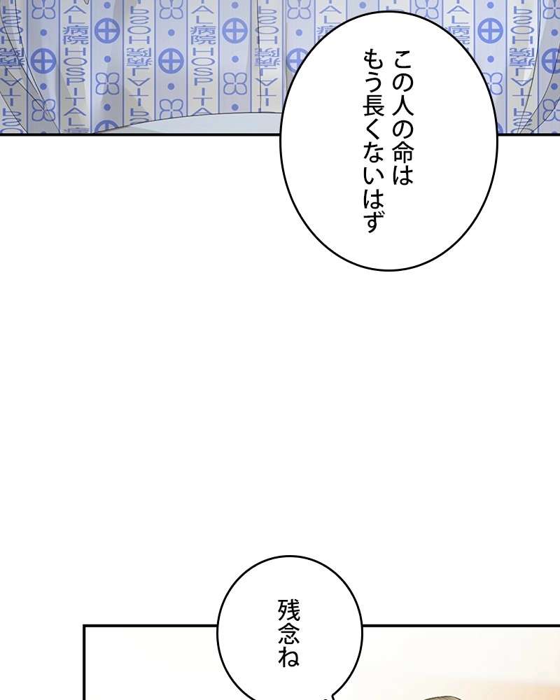P53