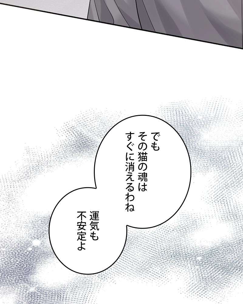 P56