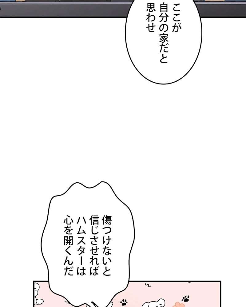 P42