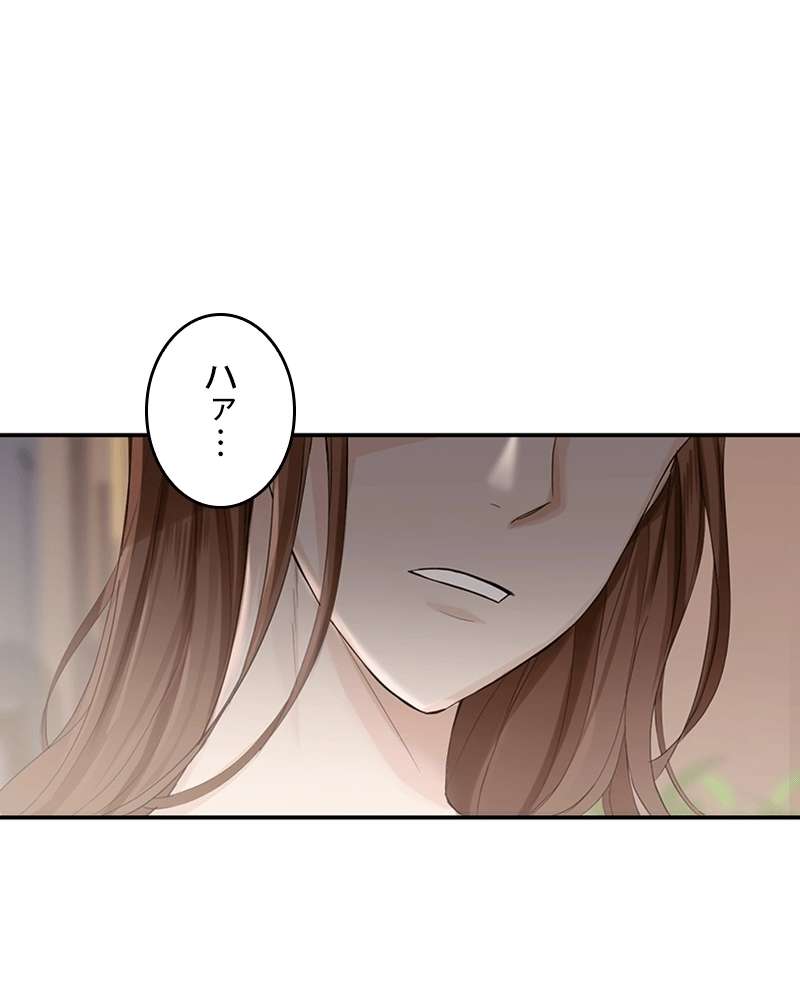 P66