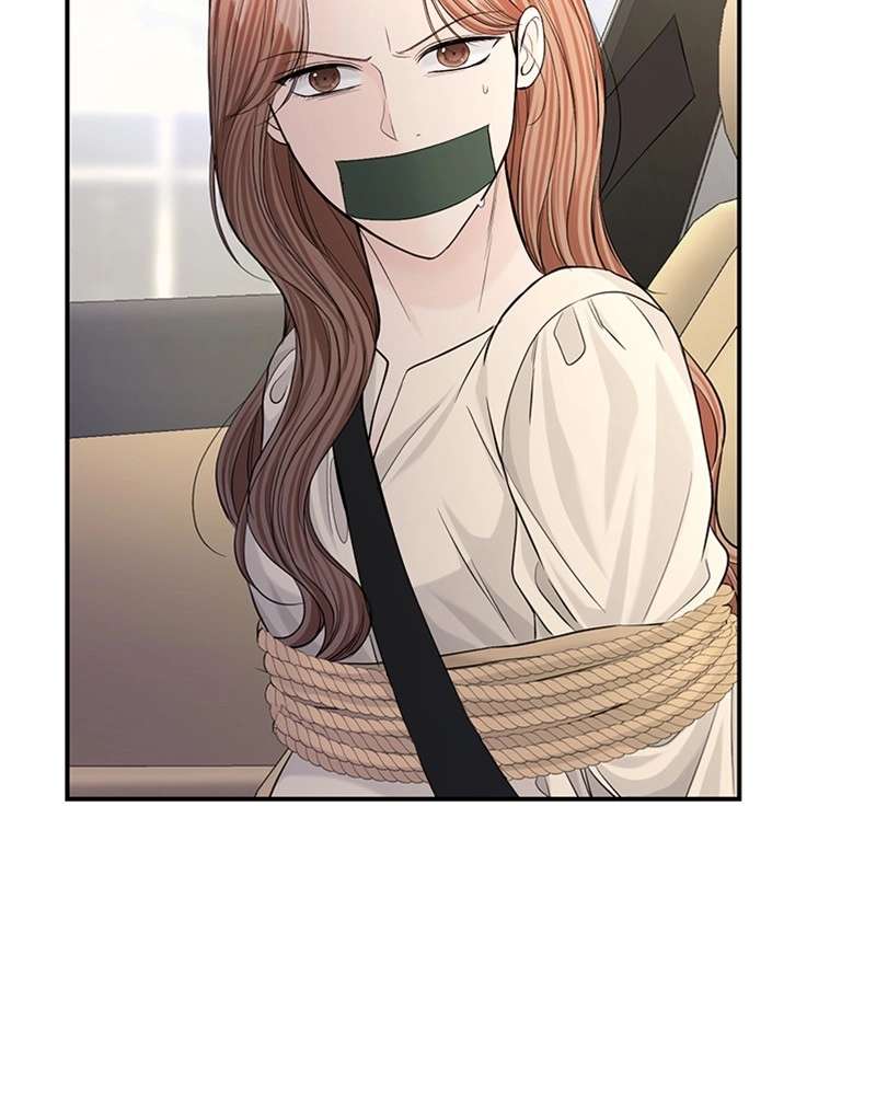 P53