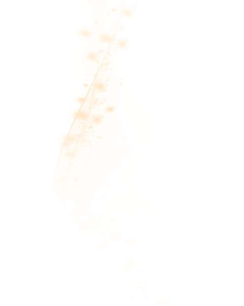 P63