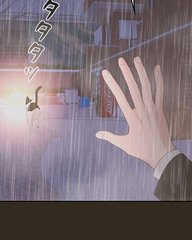 P60