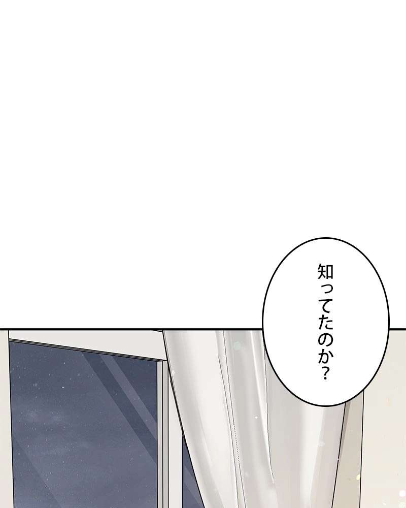 P53