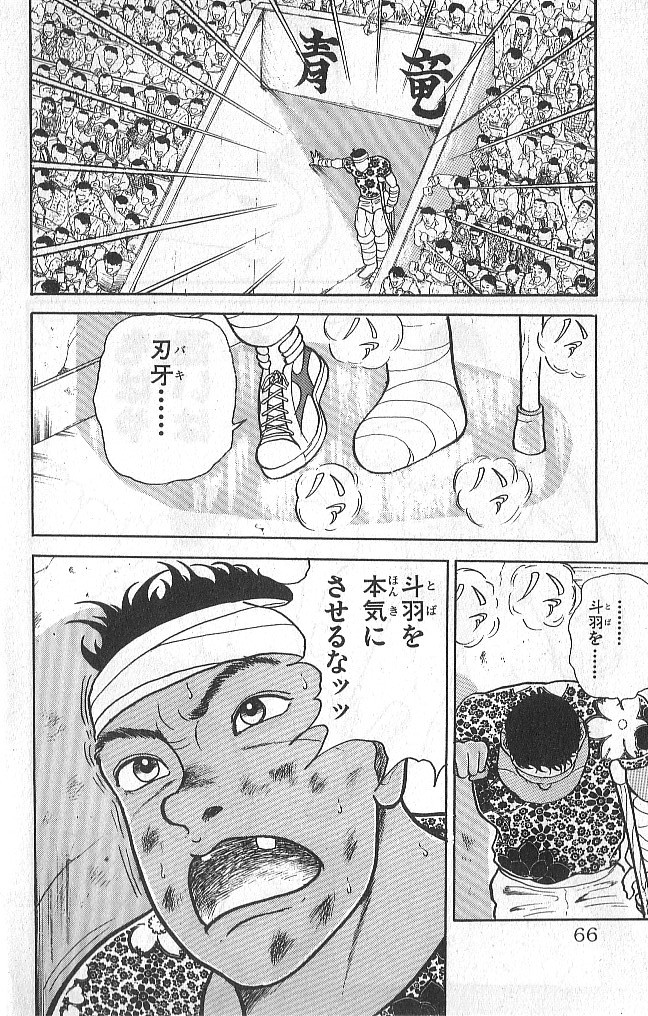 P66
