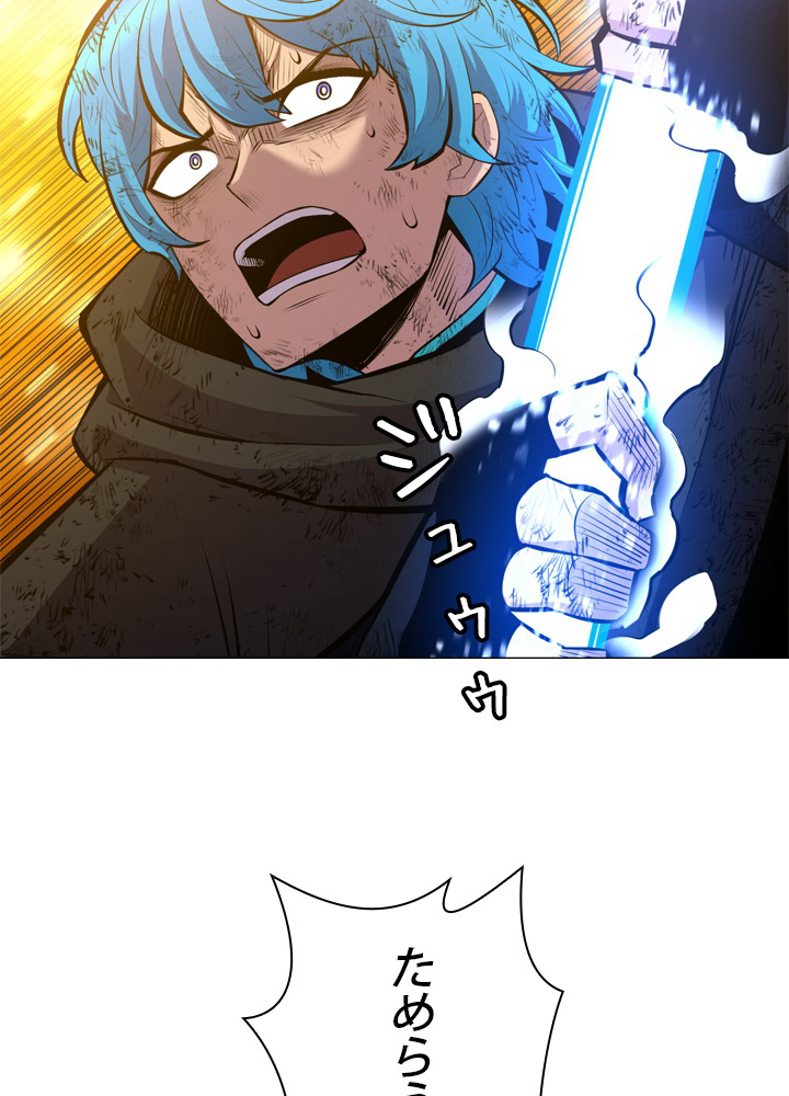 P66