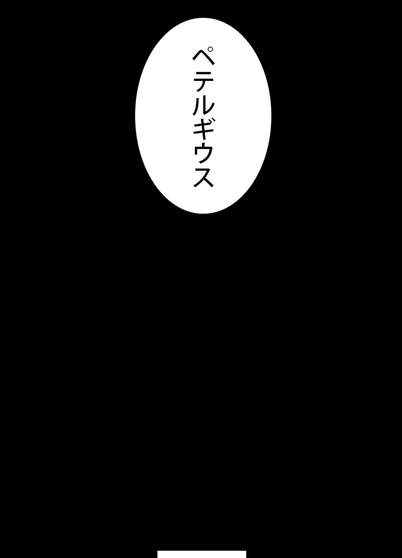P65