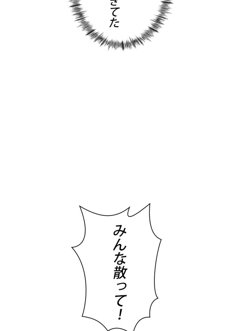 P113
