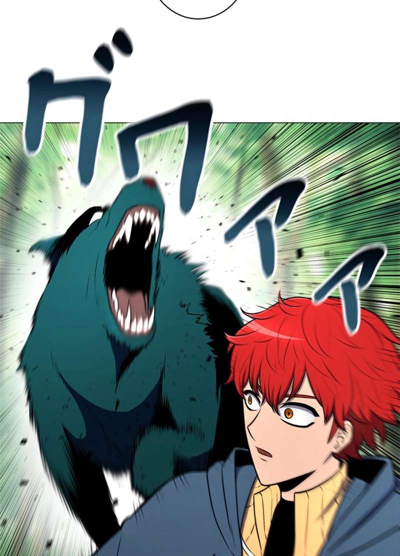 P58
