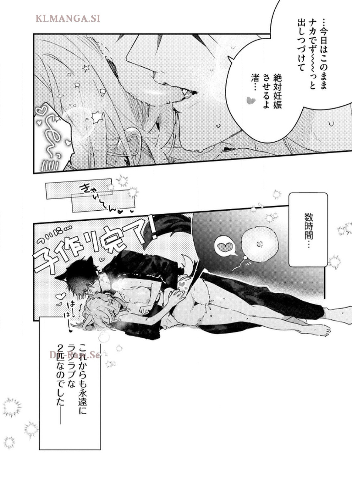 P41