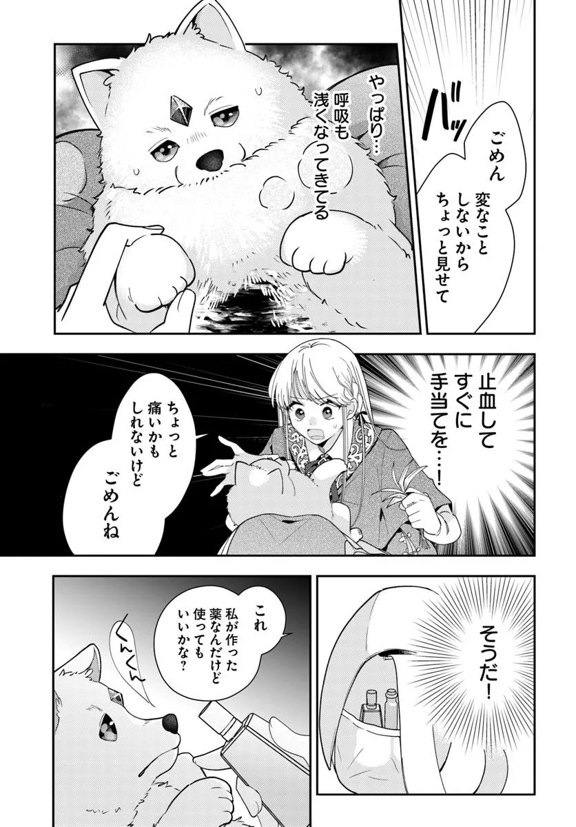 P53
