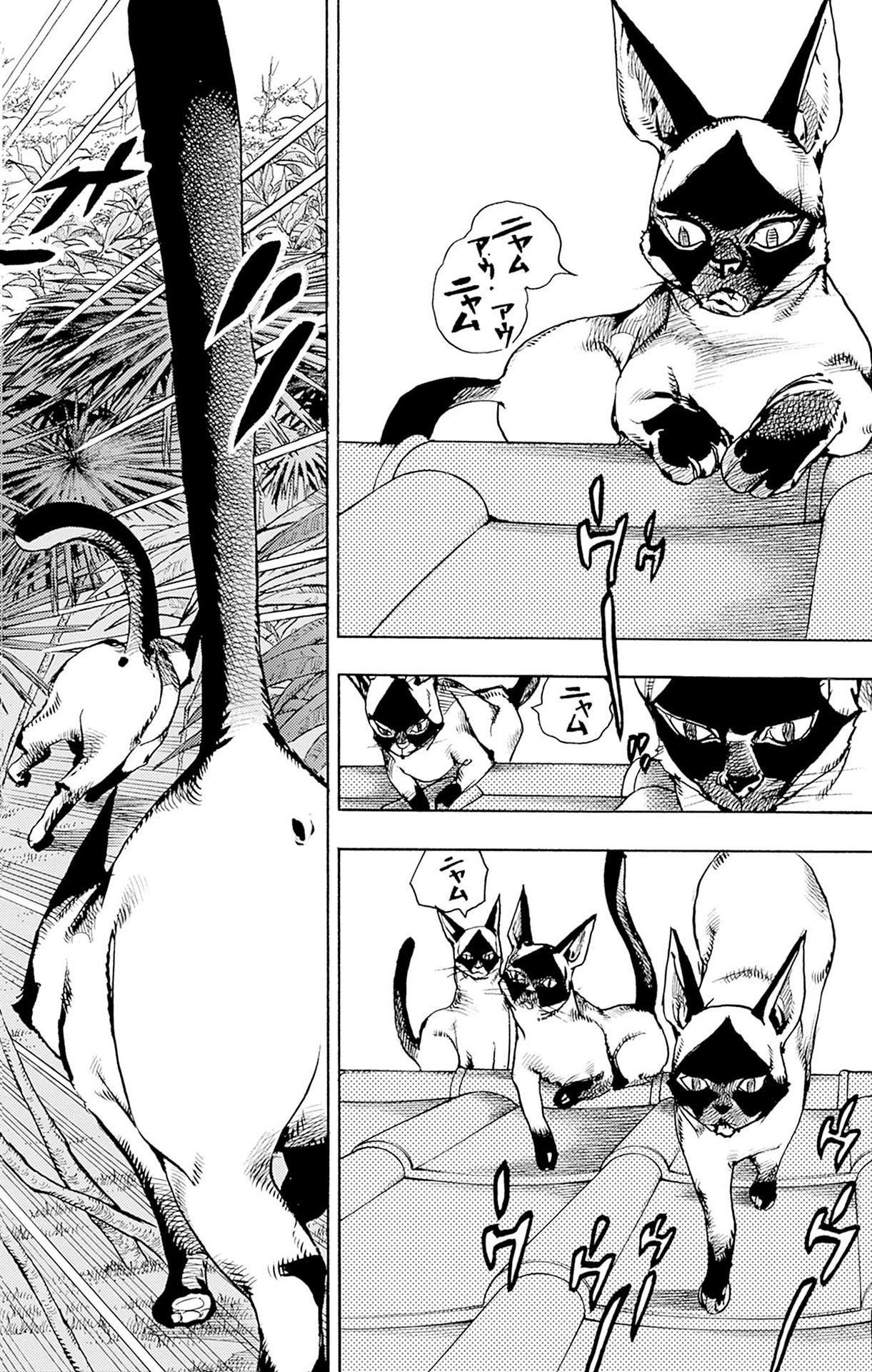 P44
