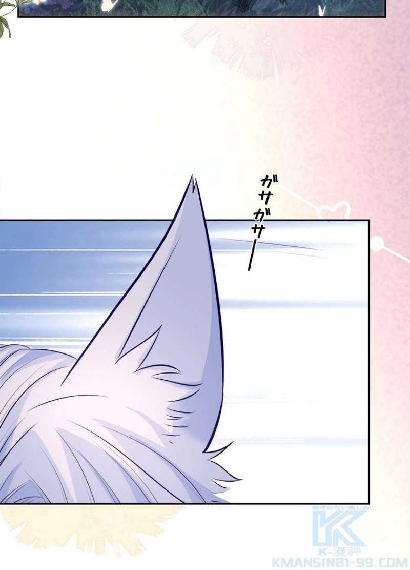 P37