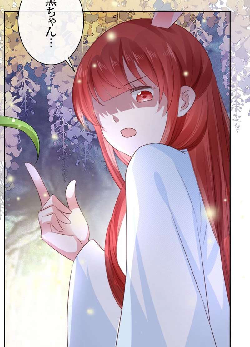 P53
