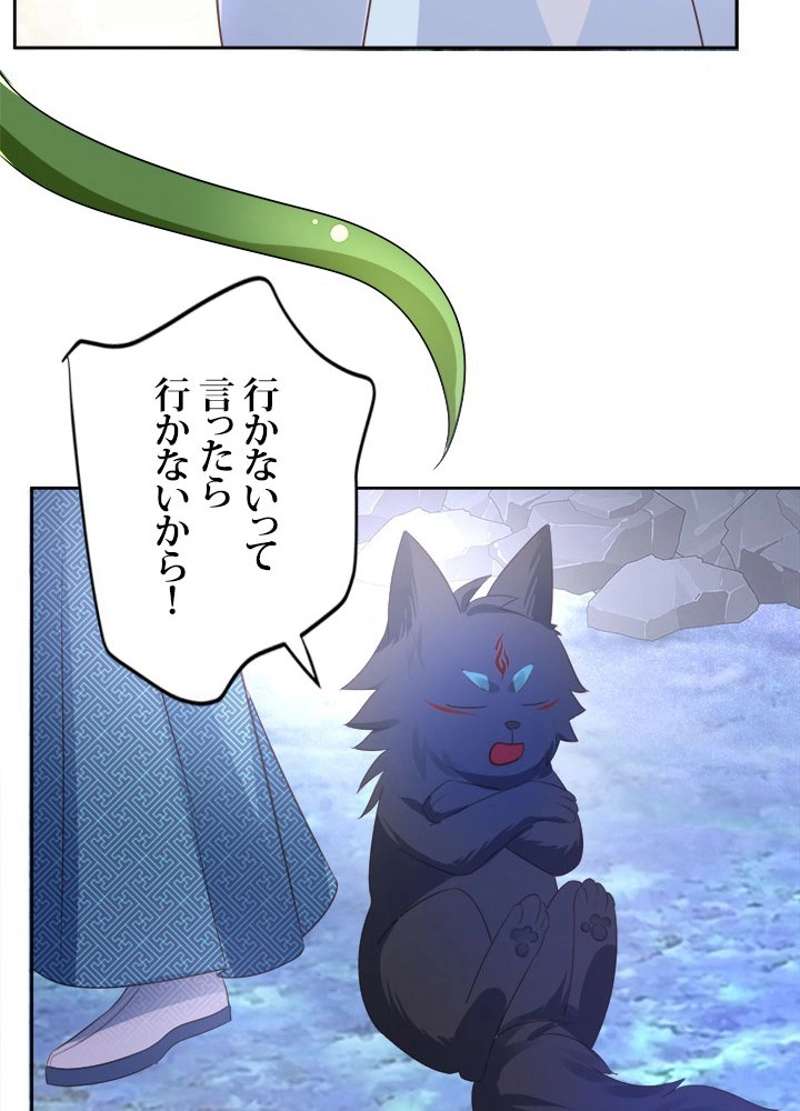 P54