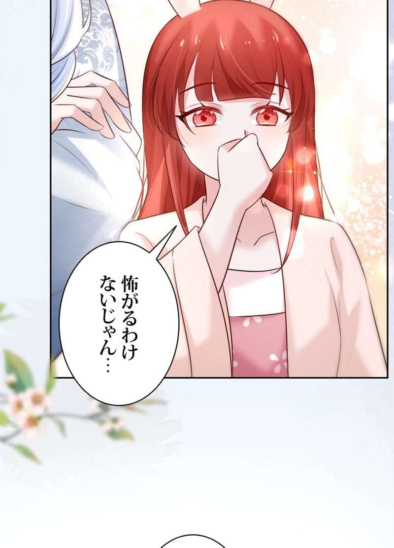 P53