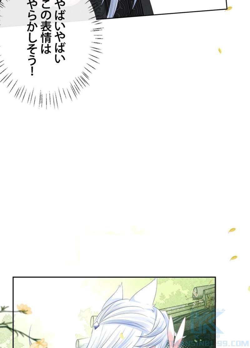 P43
