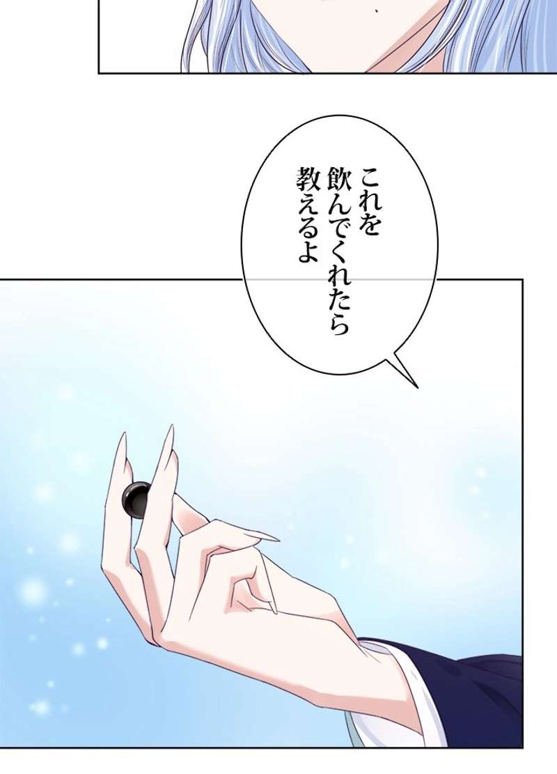 P24