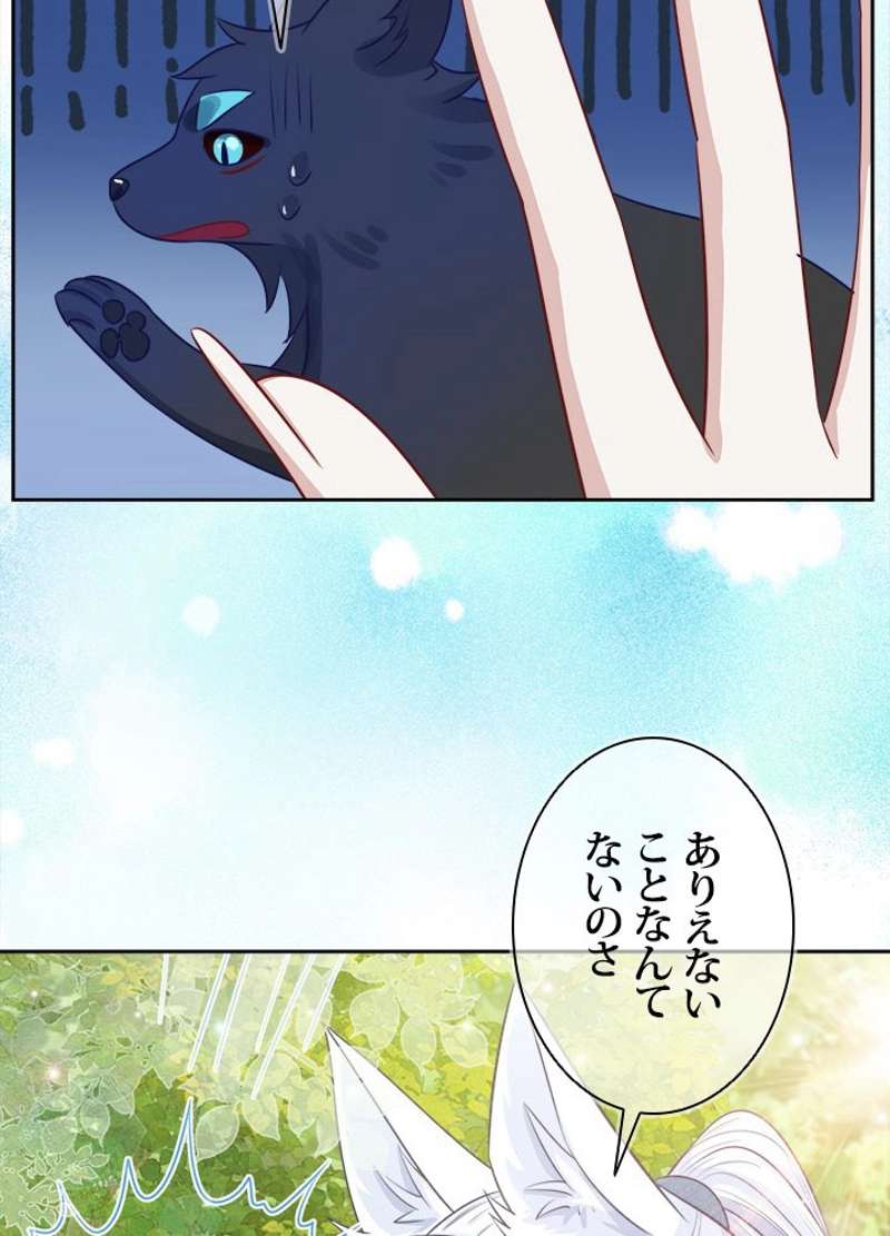 P41