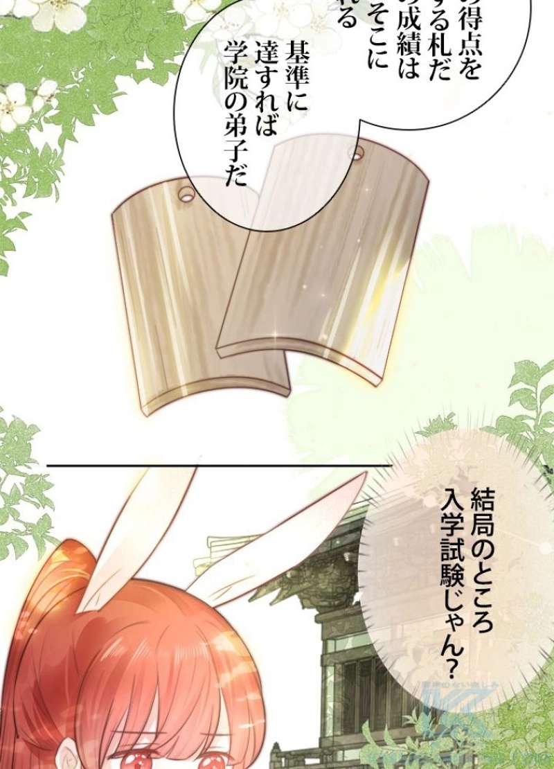 P58