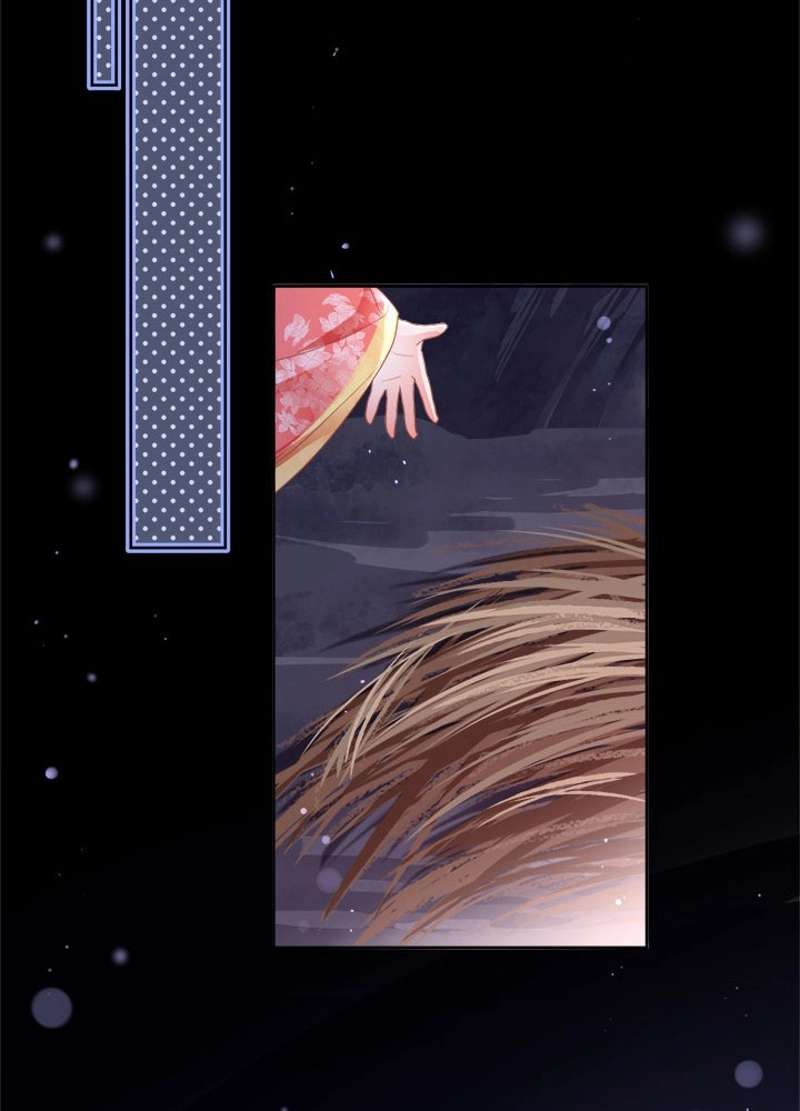 P53