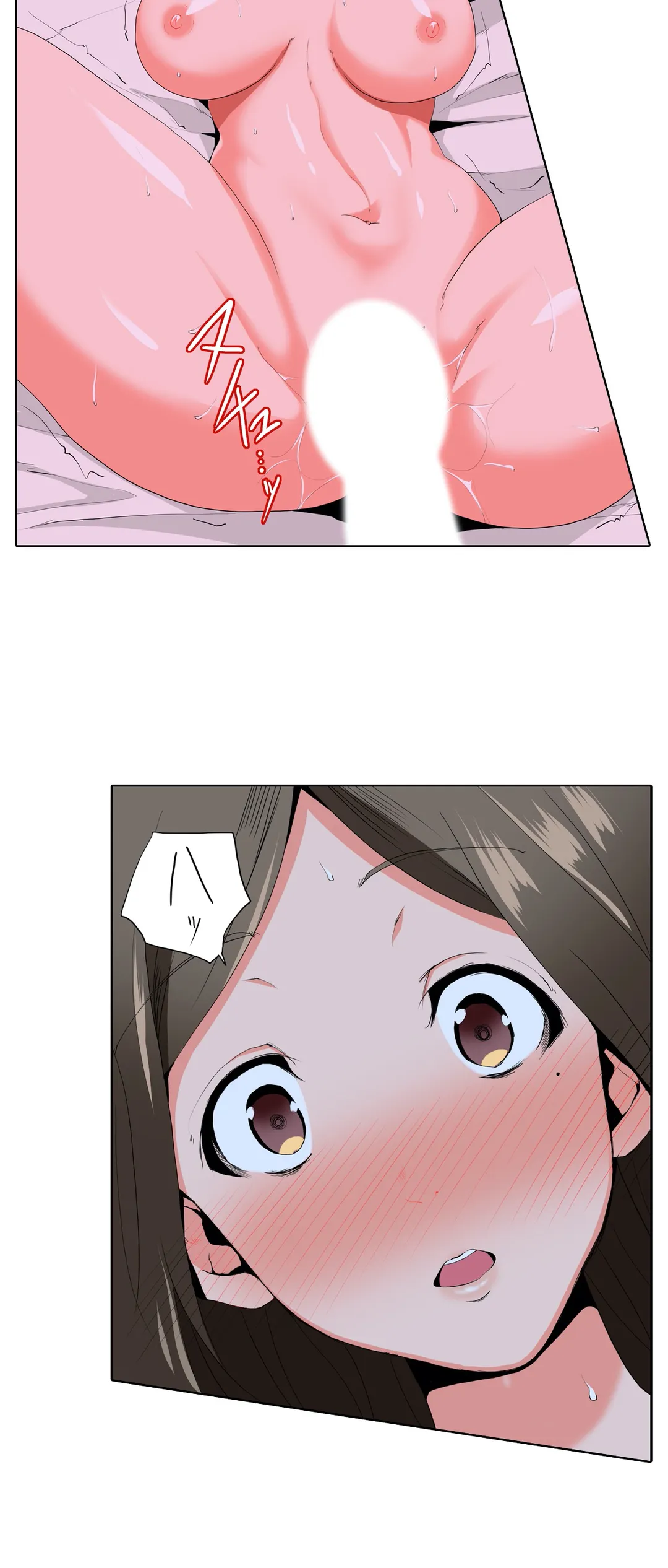 P24