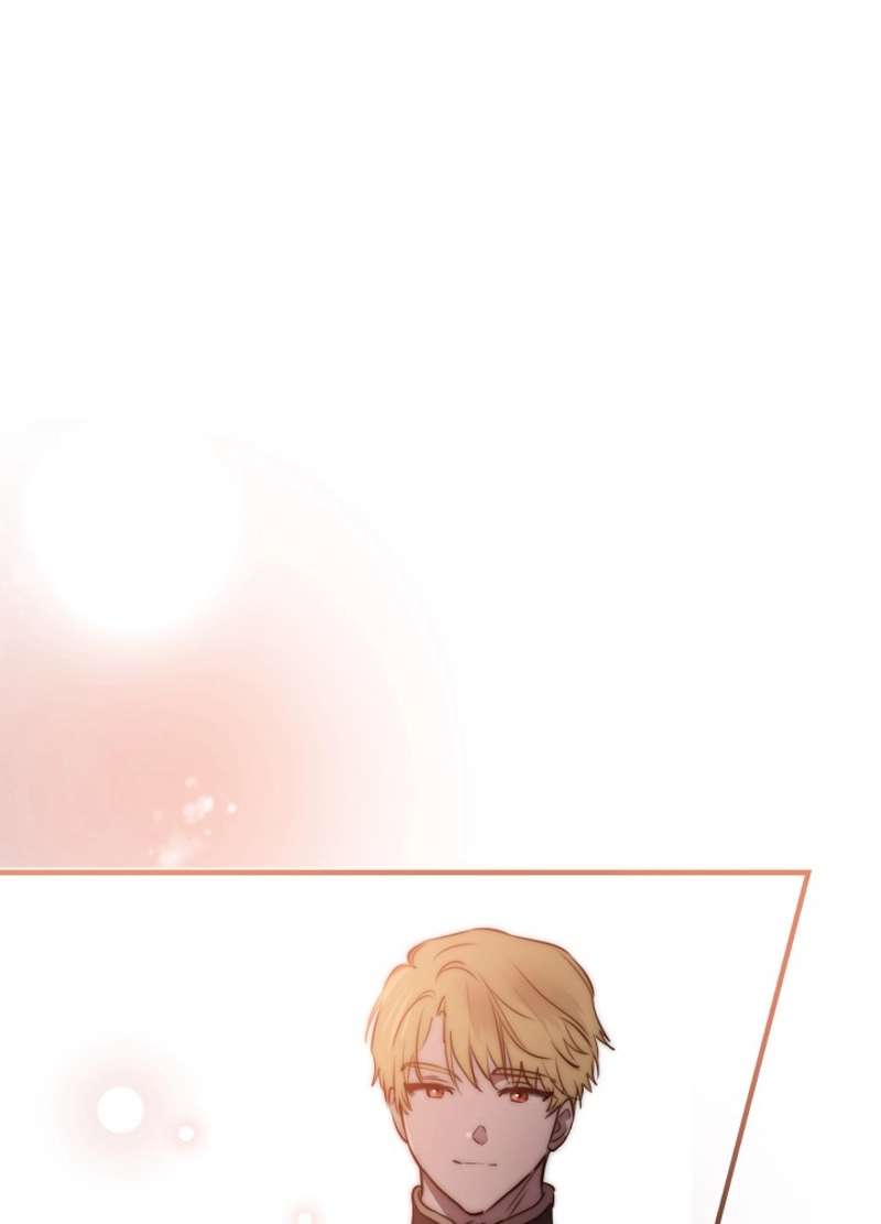 P66