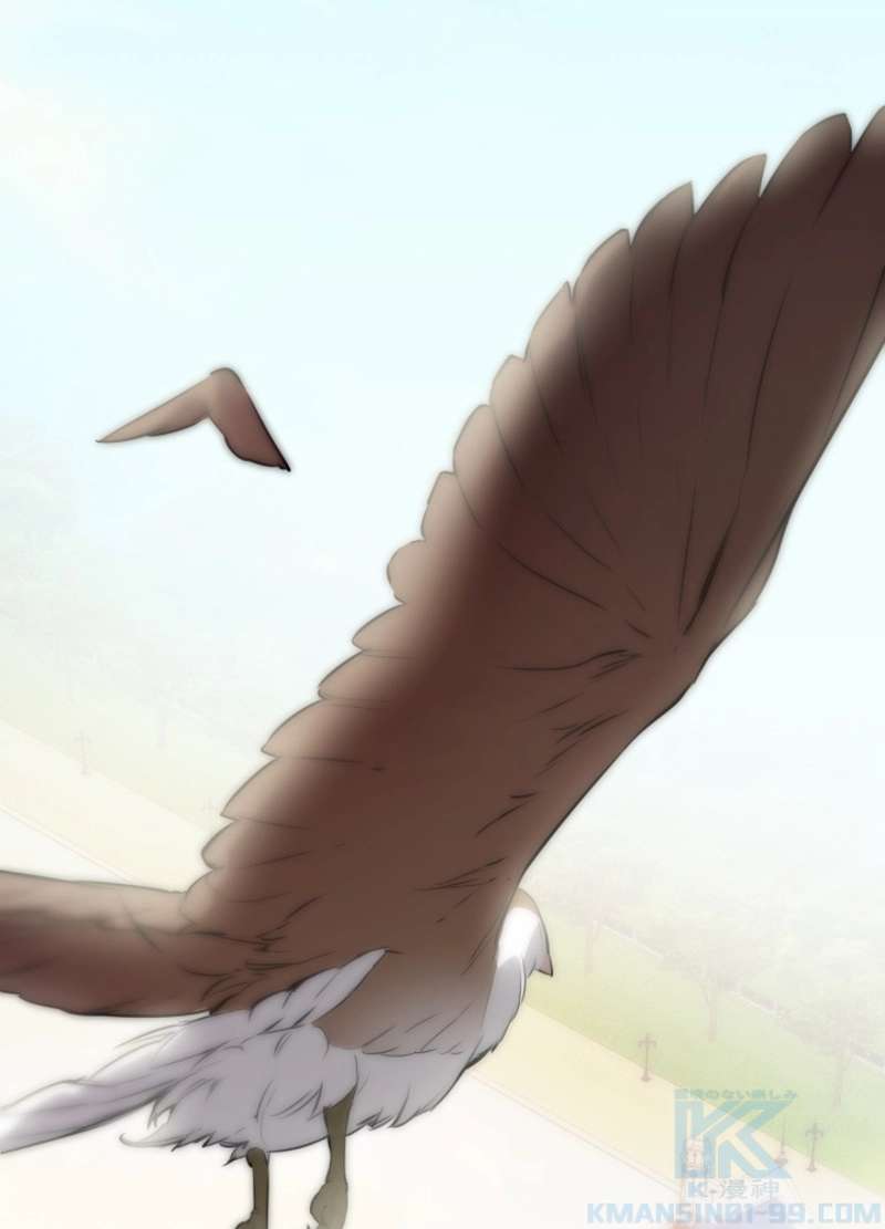 P73