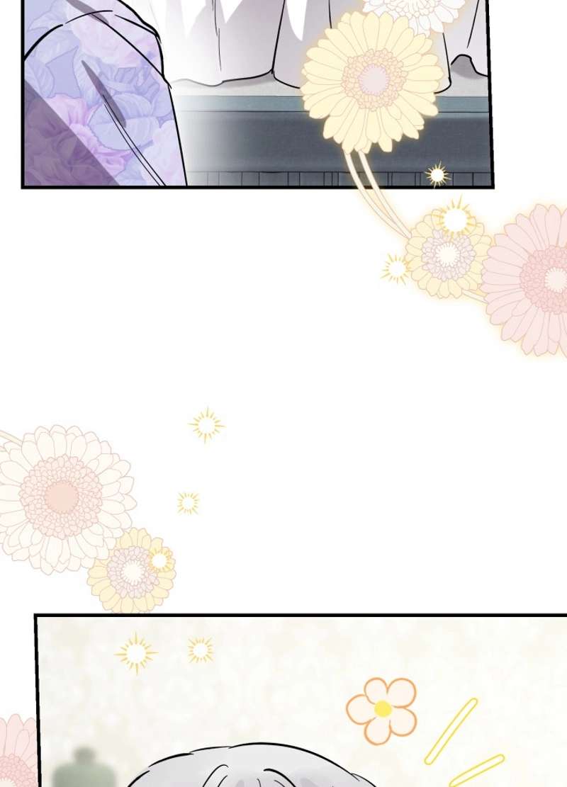 P66