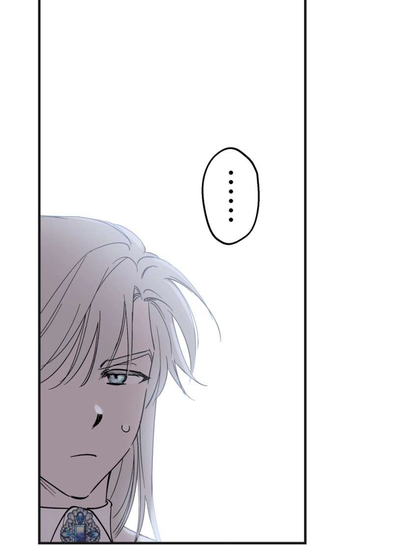 P53