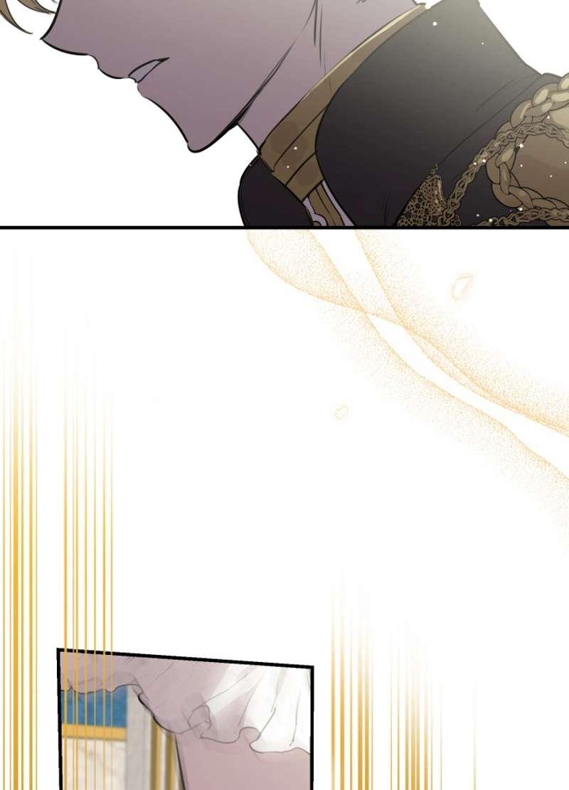 P66