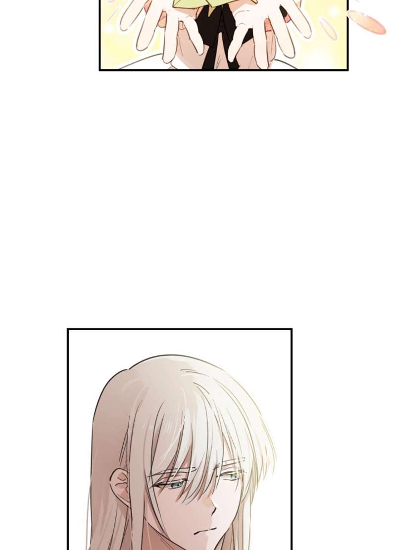 P24