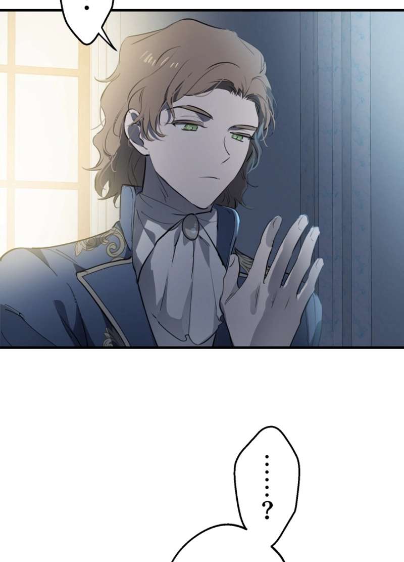 P24