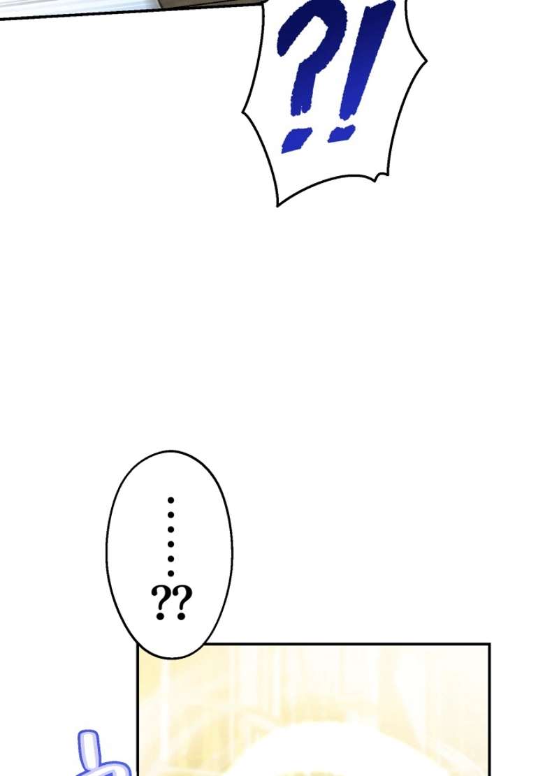 P51
