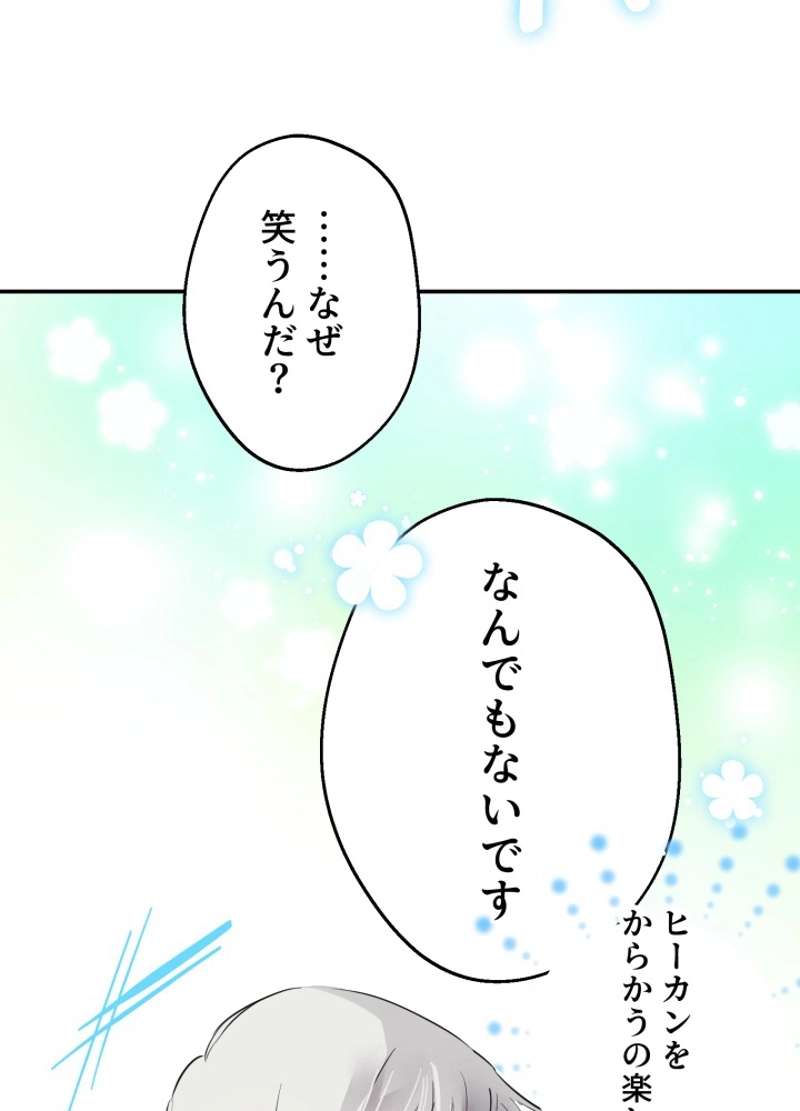P66