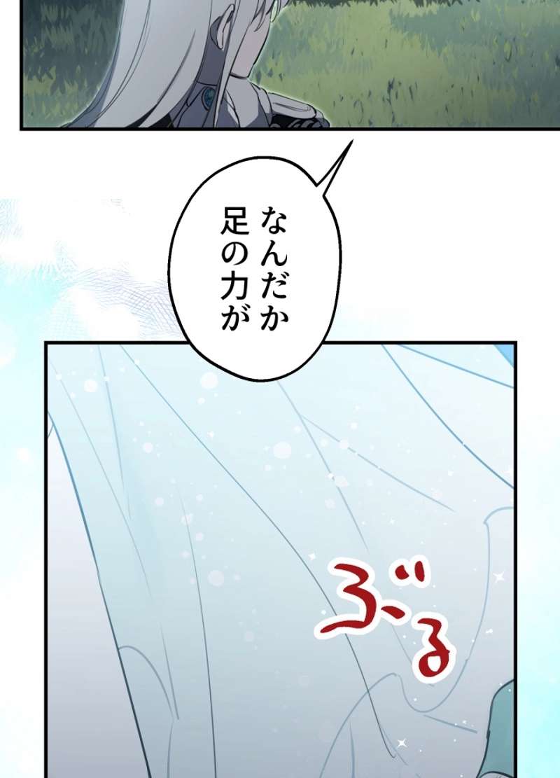 P63