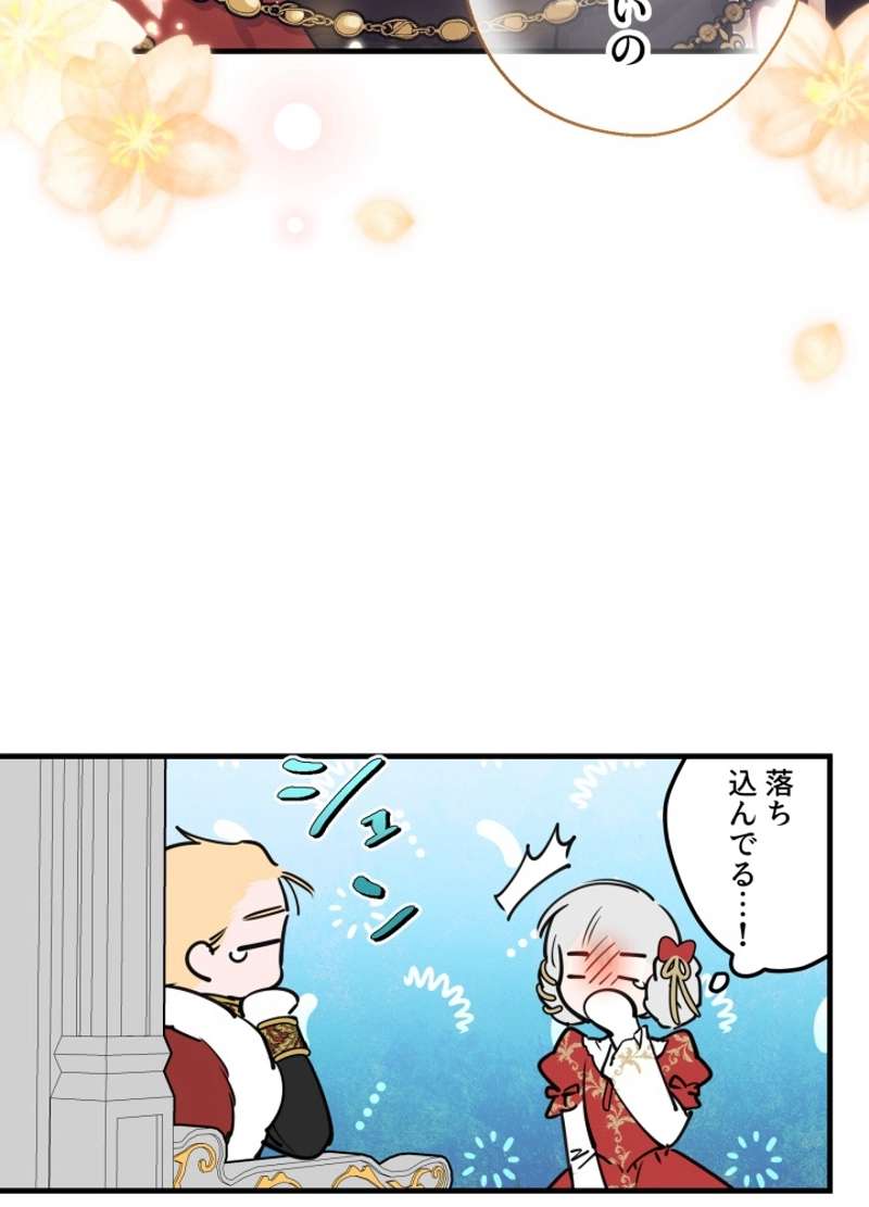 P66