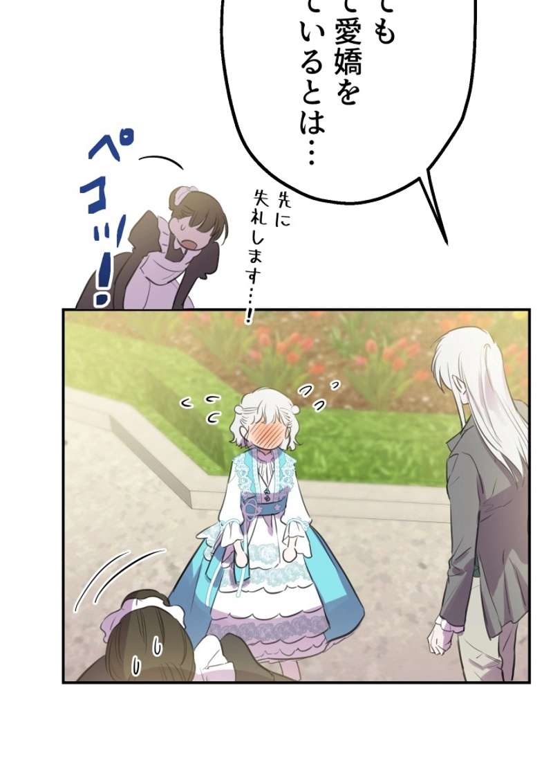 P66