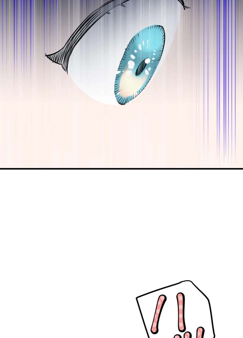 P66